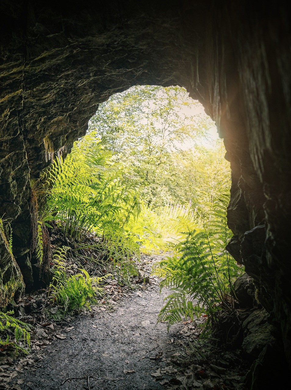 Höhle: Die Höhle ist ein geschützter und magischer Ort für Rückzug, Innenschau, Meditation, Heilung, innere Reisen, mystische Höhenflüge und Visionssuche. Nur Zivilisationsgeschädigte glauben, ein längerer Aufenthalt in der Höhle wäre langweilig. Ich nehme mir Zeit für innere Einkehr, Heilarbeit und die Ergründung meiner Seelenträume.