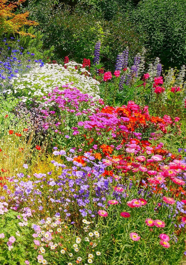 Blumen: Die Natur ist ein Kunstwerk und keine auf Zweckmäßigkeit angelegte Maschine. Die Blumen verbreiten Schönheit, Duft und Freude und öffnen mein Herz. Sie inspirieren mich, mit allen Sinnen zu genießen, Freude und Liebe in die Welt zu bringen und meine einzigartige Kreativität zu leben.