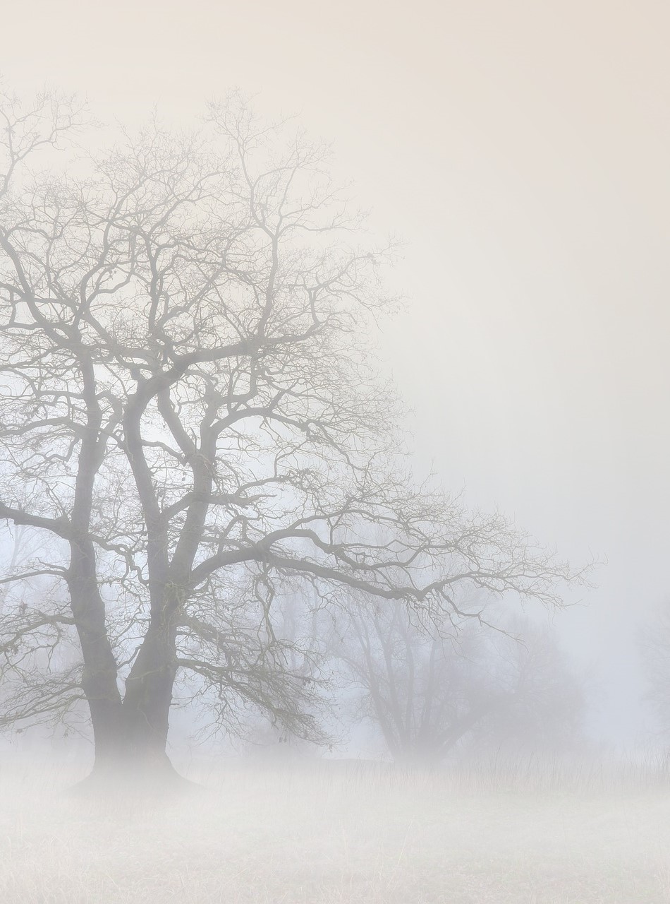 Nebel: Im dichten Nebel ist es kalt und klamm und man kann sich nicht mehr orientieren. Ich erforsche, durch wen oder was meine Sicht vernebelt wird. Ich verbinde mich mit meinem inneren Licht, das Klarheit bringt. Die Ausrichtung auf das höchste Wohl aller vertreibt die Nebelschwaden und ich gehe zuversichtlich meinen Weg.